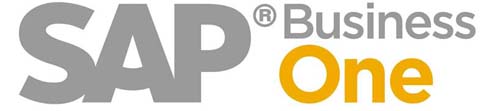 SAP Business One 入門(mén)包