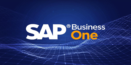 SAP B1系統(tǒng)設置和管理——數據所有權權限 