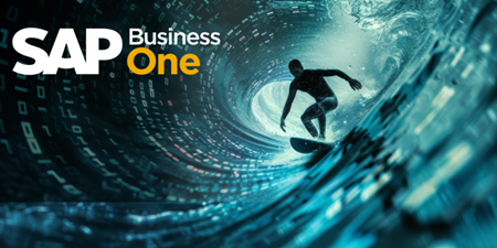 SAP Business One市場價格解析