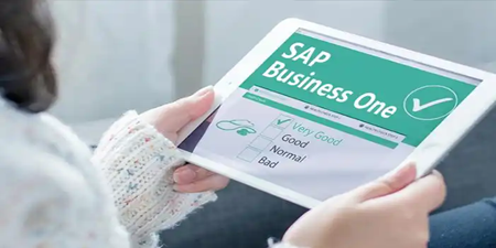 SAP B1 內部錯誤，錯誤代碼對應的原因說明